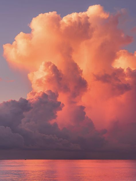 Sunset cumulus clouds over Palm Beach, Florida. Photo: Philip Metlin. Clouds Reflected In Water, Cloud Reference Photo, Clouds Reference, Sun Rays Through Clouds, Sunrise With Clouds, Clouds Collage, Glowing Clouds, Desert Clouds, Desert Witch