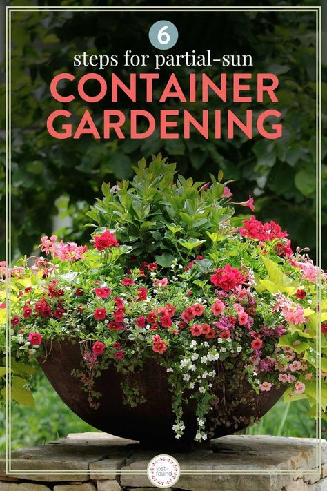 Container Gardening Full Sun, Mixed Flower Pots, Porch Plants, Garden Wood, Planting Tips, Potted Plants Outdoor, Full Sun Plants, Patio Pots, Beautiful Yards