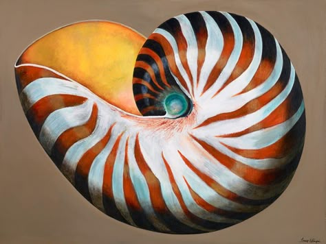 watercolor paintings of shells | nautilus shell completes my last painting for the show. This shell ... Fibonacci Spiral Nature, Sea Shell Art, Seashell Painting, Art Fish, Nautilus Shell, Painted Shells, Seashell Art, Painting Videos, Shell Art