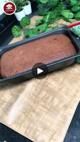 3.8K views · 144 reactions | Milk Chocolate Cake Recipe
#shorts
#shortsvideo 
#viral
#trendingshorts 
#viralrecipes
#milkcake 
#baking #homebaking #customisedcakes 
#newrecipes
#food
#brownie 
#recipes
#yasmeencuisine
#foryou
#fyp 
#homebaker
#chocolatecake
#teacake

tea time chocolate cake recipe, chocolate tea time cake recipe, chocolate tea time cake, chocolate tea cake recipe, oil free chocolate tea time cake recipe, chocolate cake recipe, cake recipe chocolate, keto chocolate cake recipe, easy chocolate cake recipe, chocolate tea time cake recipe without oven, chocolate cake recipes, how to make chocolate tea cake, chocolate cake simple recipe, chocolate mug cake recipe, chocolate cake at home, best chocolate cake recipe
how to make chocolate cake at home
delicious chocolate cake reci Mug Cake Recipe Chocolate, Milk Chocolate Cake Recipe, Easy Moist Chocolate Cake Recipe, Super Moist Chocolate Cake Recipe, Cake Simple Recipe, Chocolate Cake Simple, Chocolate Birthday Cake Recipe, Simple Chocolate Cake Recipe, Easiest Chocolate Cake