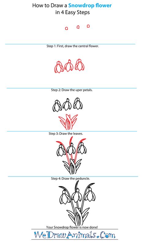 How to draw a Snowdrop How To Draw Snowdrop Flowers, Snowdrop Doodle Simple, How To Draw Spring Flowers Step By Step, How To Draw Snowdrops, Snowdrop Doodle, Snowdrop Flower Drawing, Snowdrop Drawing, Snowdrop Art, How To Draw Snow