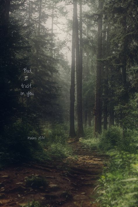 bible verse bible background Bible Background, Bible Quotes Background, Verse Bible, Quote Backgrounds, Deep Forest, Nature Backgrounds, Scripture Verses, Meaningful Quotes, Bible Quotes