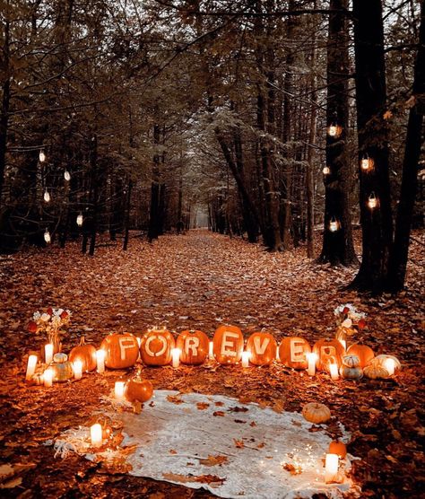 Places To Get Proposed To, Gothic Proposal Ideas, Will You Be My Girlfriend Proposal Ideas Creative, Goth Proposal Ideas, Witchy Proposal Ideas, Cute Engagement Ideas, Spooky Proposal Ideas, Proposal Ideas Forest, October Proposal Ideas