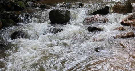 Stream Of River Water Flowing In Nature #AD ,#River#Stream#Nature#Water River Stream, Motion Graphics Typography, Water River, River Water, Nature Water, Nature Gif, Water Flow, After Effects, The River