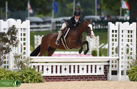 Pony Finals Hunters, Pony Finals, Hunter Jumper Aesthetic, Jumper Aesthetic, Hunter Horse, Welsh Pony, Equestrian Aesthetic, Cute Ponies, Hunter Jumper