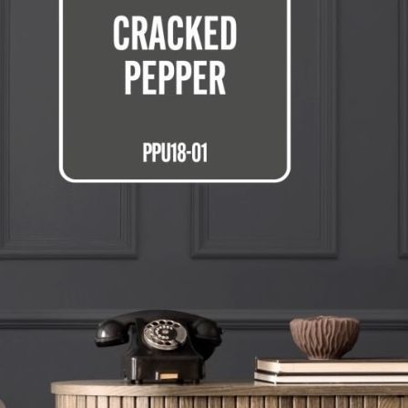 Behr Black Pepper, Behr Dark Secret Paint, Behr Peppery Paint, Cracked Black Pepper Paint, 2024 House Paint Colors, Black Pepper Paint, Dark Secret Behr Paint, Black Evergreen Behr Paint, Behr Cracked Pepper Paint