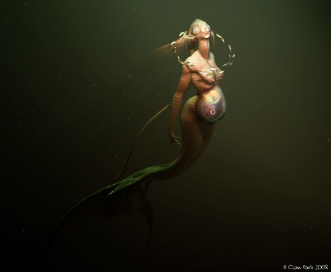 . Pregnant Mermaid, Mythical Beings, Mermaid Stories, Mermaid Pose, Water Birth, Mermaids And Mermen, Kindred Spirits, Mermaid Art, Great Barrier Reef