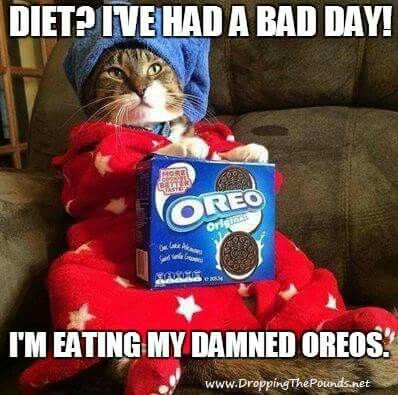 Eating my Oreos!!! Teacher Humour, Teaching Memes, Teaching Humor, Teaching Quotes, Image Chat, Teacher Memes, Education Humor, Teacher Quotes, School Humor