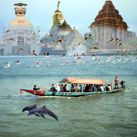 Chilika Lake, Bay Of Bengal, Family Tour, Golden Triangle, India Tour, Service Trip, Tourist Places, Taxi Service, Tour Operator