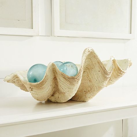 Love this! Driven By Décor: Decorating on the Half Shell: Clamshells in Home Décor Oyster Bowl, Giant Clam Shell, Giant Clam, Driven By Decor, Glass Floats, Shell Decor, Nautical Home, Clam Shell, Beach Inspired