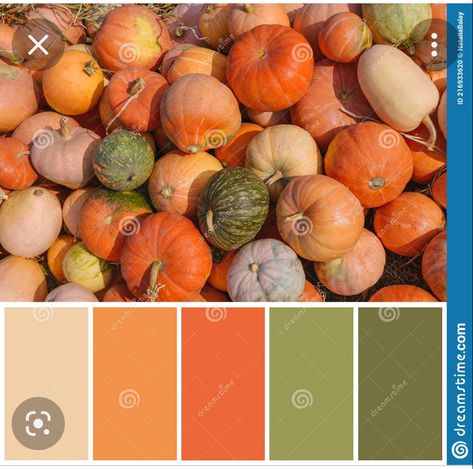 Halloween Color Palette, Autumn Color Palette Fashion, Thanksgiving Color, Autumn Cards, Color Palette Challenge, Icing Colors, Fall Color Palette, Pumpkin Colors, Color Palette Design