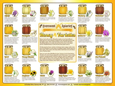 18" x 24"Honey Varieties Poster. To order visit http://eversweetapiaries.com/honeyposter.htm Honey Bees Keeping, Honey Bee Pollen, Bee Hive Plans, Types Of Honey, Bee Friendly Garden, Honey Label, Bee Pictures, Honey Benefits, Outdoor Education