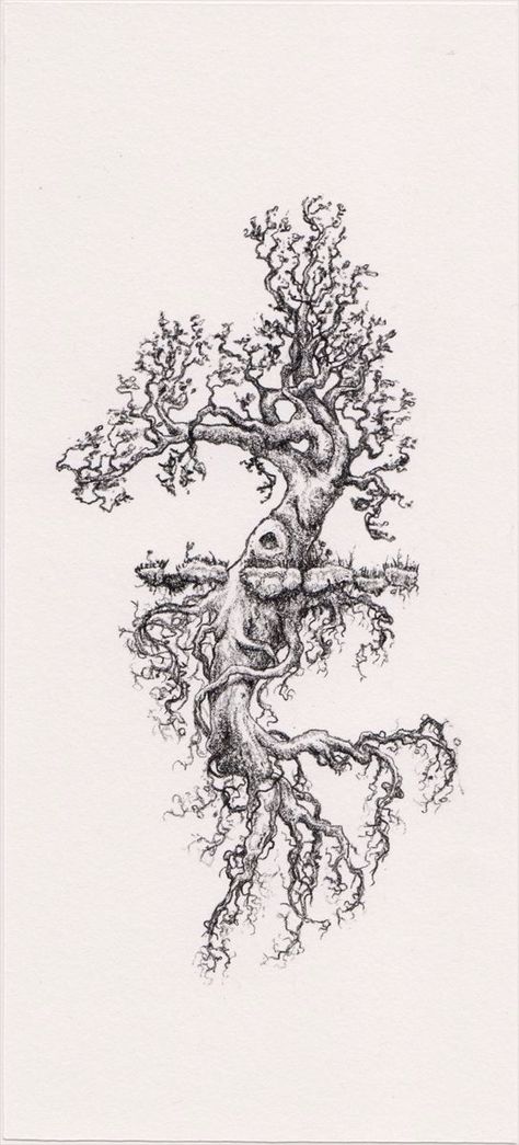 Tree Tattoo Drawings, Tree Tattoo Side, Tree Branch Tattoo, Roots Tattoo, Tattoo Tree, Tattoo Thigh, Tree Tattoos, Pine Tree Tattoo, Branch Tattoo