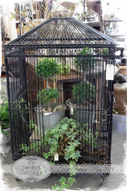 Love the bird cage & bucket of plants Birdcage Planter, Antique Bird Cages, Large Bird Houses, Large Bird Cages, Bird Cage Decor, Vintage Bird Cage, Deco Nature, Birdcages, Indoor Gardens