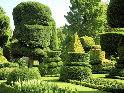 Roman Garden, Azaleas Garden, Labyrinth Maze, English Garden Design, Location Scouting, Living Garden, Topiary Garden, Garden Sculptures, Cumbria