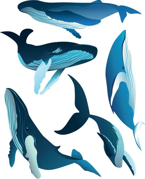 Whale Graphic, Cute Whales, Different Poses, Humpback Whale, Whales, Vector Art, Diving, Tattoo Ideas, Vector Free