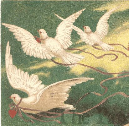 Dove Mural, Dove Illustrations, Dove Symbolism, Dove Aesthetic, Morning Dove, Dove Drawing, Dove Flying, Valentine Postcards, Dove Bird