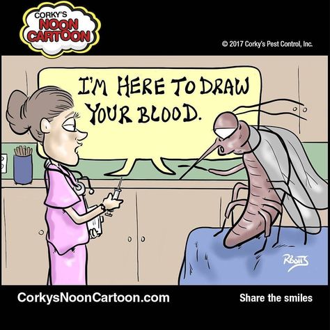 CORKY'S NOON CARTOON by Rob Botts  Get the mosquitoes before they get you. Call Corkys 1-800-901-1102. Corkyspest.com #mosquito #mosquitocontrol #corkys #corkyspest #ultimatepestcontrol #corkysnooncartoon #noontoon #pesttoon #mosquitocartoon #funnies #cartoon #comics #humor #webcomics #webtoon #funnycartoons #funnycomics #instatoon #drawblood #zika Mosquito Control, Smiles And Laughs, Draw Your, Funny Cartoons, Pest Control, You Call, 1 800, Funny Comics, Humor