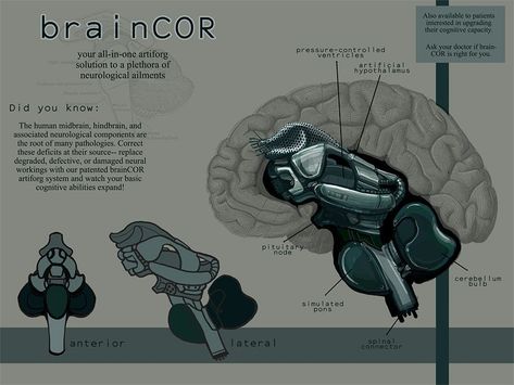 Cybernetic Augmentation, Cyborgs Art, Arte Robot, Cyberpunk Aesthetic, Arte Cyberpunk, Futuristic Art, Science Fiction Art, Robots Concept, Robot Concept Art