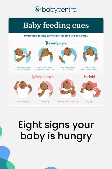 Your baby can't tell you they are hungry, but they can show you! Knowing and responding to these early cues makes feeding time easier and calmer for both of you. Feeding Newborn, Breastfeeding Baby, Feeding Time, Baby Center, Never Sleep, Trying To Conceive, Kindergarten Teachers, Baby Signs, Baby Feeding