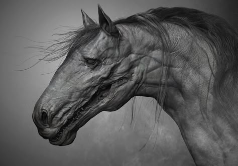 Scary Horse Art, Surrealism Ideas, Kelpie Horse, Demon Horse, Creepy Animals, Horse Sketch, Demon Tattoo, Scary Animals, Animal Illustration Art