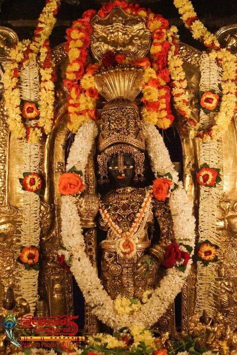 Udipi.krishna. Udupi Krishna, Waterfall Wallpaper, Krishna Temple, Lord Murugan Wallpapers, Hanuman Images, Lord Shiva Statue, Krishna Statue, Shiva Photos, Lord Murugan