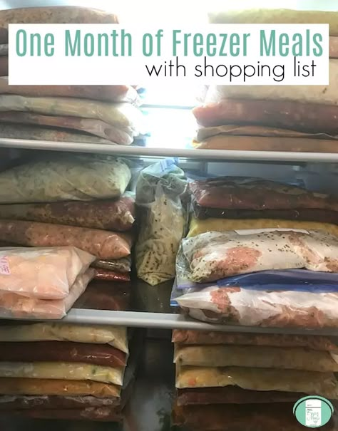 One Month of Freezer Meals No Repeats - Freezer Meals 101 Month Of Freezer Meals, Freeze Meals, Freezer Ideas, Budget Freezer Meals, Freezer Dinners, Crockpot Freezer Meals, Slow Cooker Freezer Meals, Freezer Friendly Meals, Freezer Meal Planning