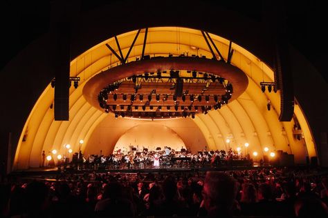 dear 13 year old laufey, you sold out the hollywood bowl!! 🤍 thank you all for the very best night of my life 😚 📷 @nicolemago Hollywood Bowl, The Hollywood Bowl, Best Night Of My Life, Haim, Of My Life, My Life, Year Old, San Francisco, Hollywood