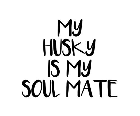 My Husky Is My Soul Mate Design for those who love their husky! Perfect as a gift for yourself, family member or friend for Christmas or a birthday!          husky dogs, husky puppy, husky tattoo, husky drawing, husky german shepherd mix puppy Drawing Husky, German Shepherd Mix Puppies, Husky Tattoo, Husky Drawing, Puppy Husky, Boxer Puppies For Sale, Dogs Husky, German Shepherd Mix, My Husky