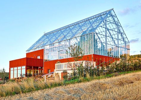 Tailor Made Arkitekter designed the Uppgrenna Nature House, a gorgeous low-impact greenhouse in Sweden. Moderne Have, Nature House, Innovation Architecture, Sweden House, Box House, Home Greenhouse, Library Architecture, Eco Architecture, Greenhouse Growing