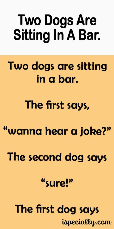 Two Dogs Are Sitting In A Bar. – Dark Jokes Humor, Dog Humor Cartoon, Funny Text Jokes, Twitter Reaction Pics, Sarcastic One Liners, Funniest Jokes Ever, Diy Picnic, Diy Picnic Table, Funny Dog Jokes