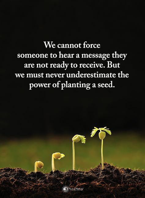 Namaste Happy Tuesday :-) Ask people powerful questions to get them thinking of what is best for them. Questions such as: "What do you truly want? Why is that important to you?" Wishing you an energizing day! #CEOofYourLife #Leadership @PositiveEnergyPlus Golden Words In English, Planting Seeds Quotes, Seed Quotes, Guard Your Heart Quotes, Golden Words, Positive Quotes For Women, Growth Quotes, Daily Positive Affirmations, Power Of Positivity