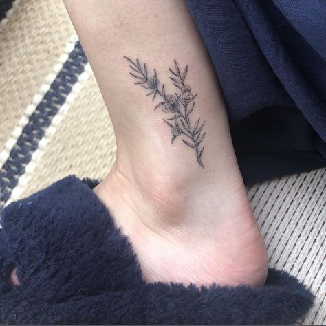 Juniper Plant Tattoo, Juniper Tattoo Meaning, Juniper Berry Tattoo, Juniper Branch Tattoo, Yew Tattoo, Cedar Branch Tattoo, Juniper Tree Tattoo, Pine Branch Tattoo, Juniper Tattoo