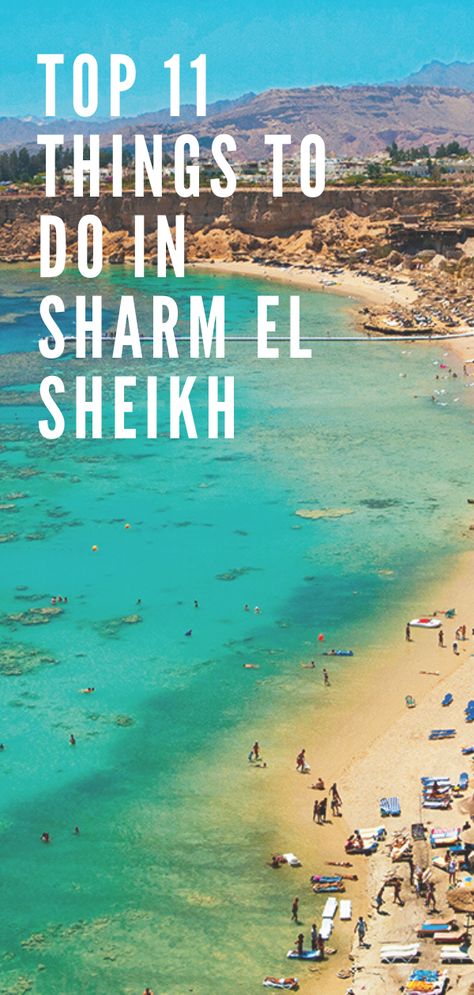 Shark El Sheikh, Sharm El Sheikh Egypt Travel, Sharm Al Shaikh, Sham El Sheikh Egypt, Al Azhar University Cairo Egypt, Sharm El Sheikh Outfit, Sharm El Sheikh Aesthetic, Egypt Crafts For Kids, Al Azhar University