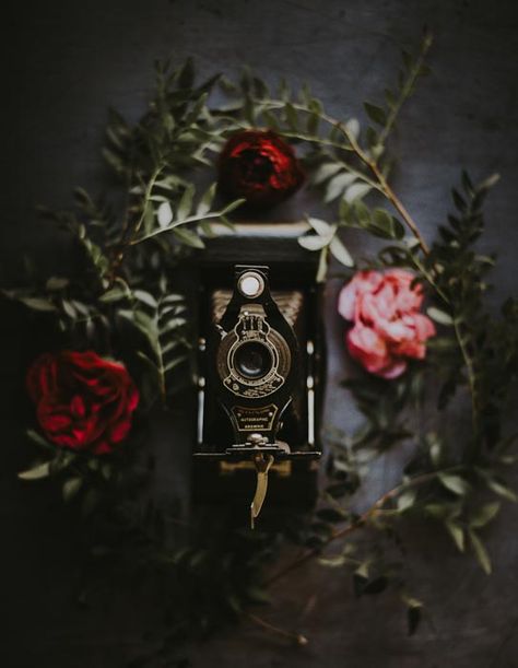 A dark and moody product photography shot of a film camera surrounded by flowers Dslr Quotes, Dslr Photography Tips, Moody Photography, Photography Jobs, Flowers Photography Wallpaper, Dslr Photography, Photographer Gifts, Composition Photography, Gifts For Photographers