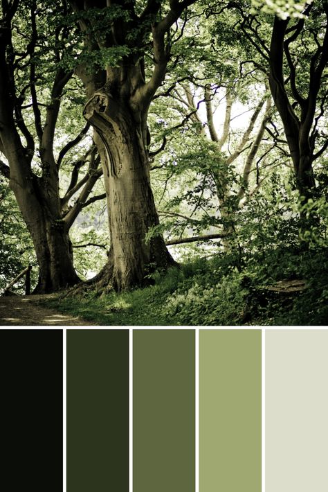 Tree Color Palettes - This Growing Home Earth Green Colour Palette, All Green Color Palette, Mountain Color Palette Nature, Earth Green Color Palette, Green Scheme Colour Palettes, Moss Colour Palette, Pine Tree Color Palette, Green Palette Colour, Earth Pallete Color