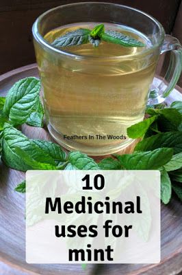 10 Medicinal uses for mint. Use mint tea for stomach upset, to increase alertness and more. Fresh mint can be grown in the garden or indoors in a container. Mint Medicinal Uses, What Can I Do With Mint Leaves, Medicinal Garden Plants, Fresh Spearmint Uses, Mint Herb Recipes, Ways To Use Mint, Mint Herb Uses, What To Do With Mint Leaves, Fresh Mint Uses