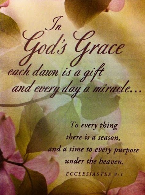 A Course In Miracles, Tuesday Morning, Morning Beautiful, Biblical Quotes, A Miracle, Inspirational Bible Verses, Favorite Bible Verses, Faith Inspiration, God's Grace