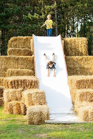 Country Playground Ideas, Small Acreage Farm, Farm Festival Ideas, Farm Fall Decor, Pumpkin Patch Garden, Pumpkin Patch Decoration, Pumpkin Patch Activities, Agritourism Farms, Field Party