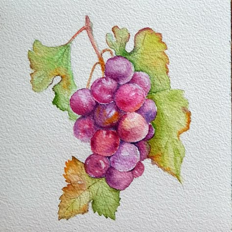 Grape Painting Easy, Watercolour Grapes, Grape Watercolor, Grapes Drawing, Grapes Watercolor, Watercolor Pumpkins Autumn, Grapes Painting, Grape Drawing, Grape Painting