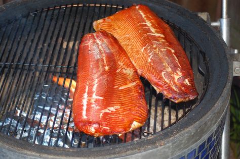 A easy and delicious smoked salmon with a dry brine recipe that is perfect as a main course, appetizer or with a salad. Smoked Salmon Brine, Smoked Trout Recipe, Smoked Fish Recipe, Indian Appetizer Recipes, Trout Recipe, Dry Brine, Fish Dinner Recipes, Trout Recipes, Smoked Salmon Recipes