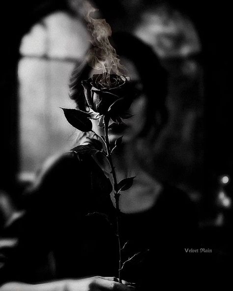 Dark Angel Aesthetic, Dark Aesthetics, Gothic Girl, Dark Angels, Fantasy Drawings, Black Witch, Angel Aesthetic, Shadow Pictures, Inspiration Photography