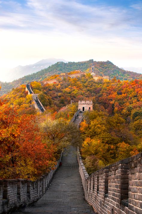 Step on board for a Viking river cruise of the mesmerizing Yangtze and fall in love with 2,000 years of history when you travel to one of the world's most iconic world wonders in autumn: the Great Wall of China. #myvikingstory #wanderlust #travelinspiration #destinations #vacation #holiday #mustsee Viking River Cruise, Asia Cruise, World Wonders, Mekong River, China Architecture, Viking Cruises Rivers, Viking Cruises, Chinese Landscape, Cruise Destinations