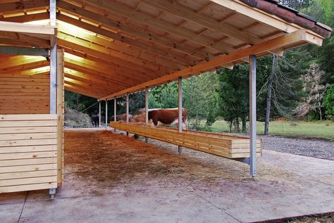 Cow Shed Design, Livestock Shelter, Horse Farm Ideas, Horse Barn Ideas Stables, Cow Shed, Paddock Paradise, Horse Shelter, Dream Horse Barns, Farm Plans