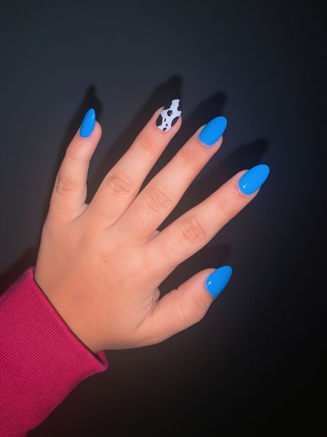 Royal Blue Cow Print Nails, Turquoise Nails Acrylic Almond, Simple Cute Blue Nails, Royal Blue Western Nails, Blue Cow Print Nails Acrylic, Blue Nails With Cow Print, Blue Cowprint Nails, Cow Print Nails Blue, Almond Cow Print Nails