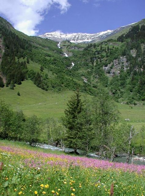 meadow in yucaipa Yucaipa California, San Bernardino County, Travel Outdoors, San Bernardino, Playing Card, Senior Photos, Palm Springs, Us Travel, Beautiful Nature