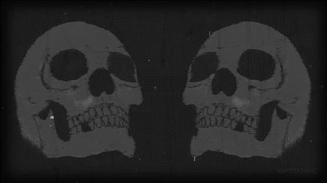 skull gif Skeleton Gif Banner, Goth Banners Discord Gif, Skull Banner Gif, Skeleton Banner Discord, Dark Discord Banners Gif, Banner Gif Black, Skull Gif, Skull Banner, Creepy Gif