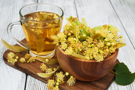 Yellow Tea Aesthetic, Willow Bark Tea, Tea Aesthetic Yellow, Linden Tea, Tea Images Indian Hd, Honeybush Tea, Cookie Types, Best Tea, Herbal Tea