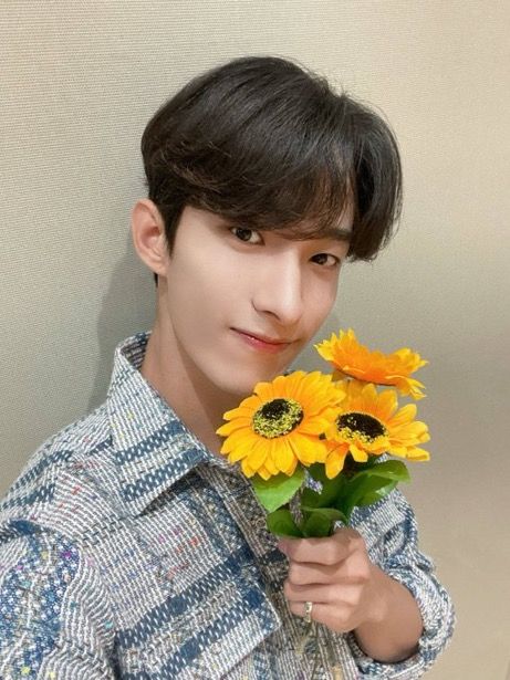 Seventeen Instagram, Seventeen Debut, Seventeen Wallpapers, Pledis 17, Pledis Entertainment, Korean Pop, Aesthetic Backgrounds, Fall Season, Yellow Flowers