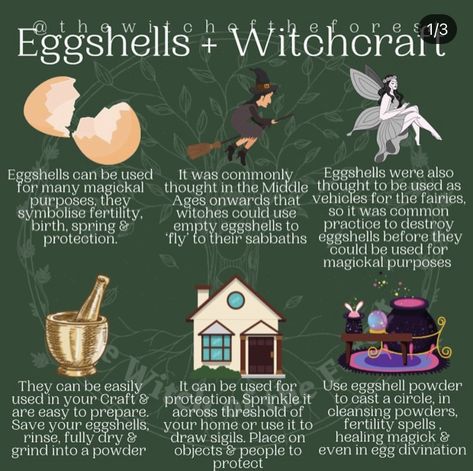 Egg Shell Uses, Chaos Magick, Hoodoo Spells, Teen Witch, The Wasp, Wiccan Spell Book, Magick Book, Witchcraft Spell Books, Witch Spell Book